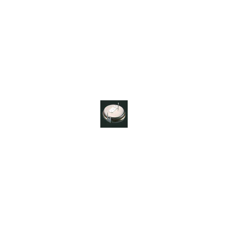 Pile Bouton CR2016 2PH - RENATA / PANASONIC - Lithium