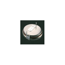 Pile Bouton CR2450N 2PH - RENATA / PANASONIC - Lithium