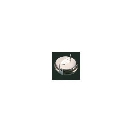 Pile Bouton CR2450N 2PH - RENATA / PANASONIC - Lithium