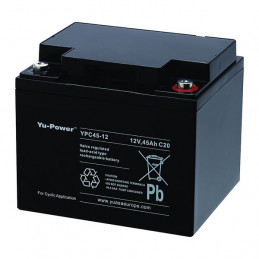 Batterie YPC45-12 YUASA - Compatible MK M40-12 SLD G - Plomb Cyclage -12V - 45Ah