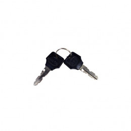 BATTERIE LITHIUM BOSCH PORTE-BAGAGE 36V-10 A
