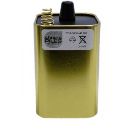 1ER PRIX Pile Alcaline 4LR25 - Ecoli - Ressort Métal