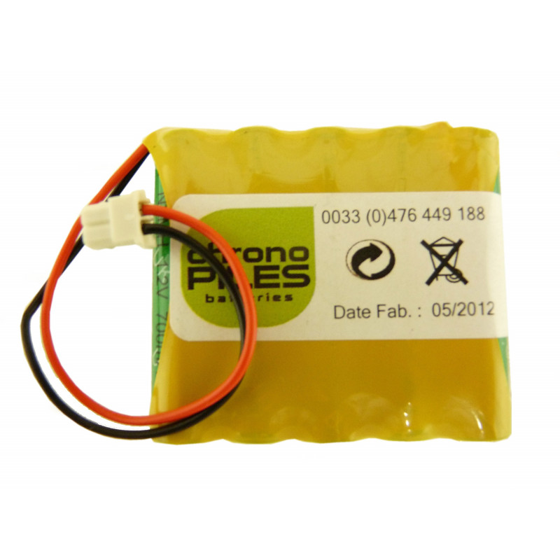 CHRONO Pile Batterie Alarme Compatible ARNOULD Intrusion Leaving E0416A - 6.0V - 700mAh + Connecteur Centrale