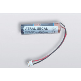 CHRONO PACK Batterie lithium 6V 0.9Ah - BATV 23 + connecteur - DAITEM Atral