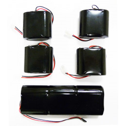 Pack piles batteries DSP10 DSP80 pour alarme piscine OCEAPROTECT, Primaprotect et Firstinnov