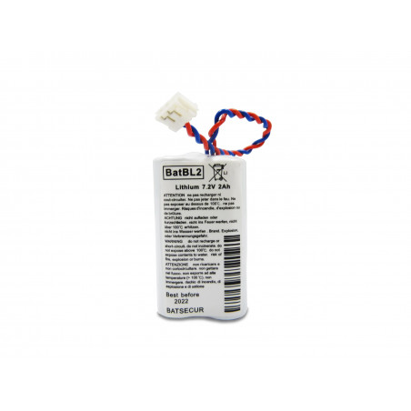 CHRONO Pile Batterie Alarme Compatible LABEL CESAR BL2 - AA - 6.0V - 2.0Ah + Connecteur