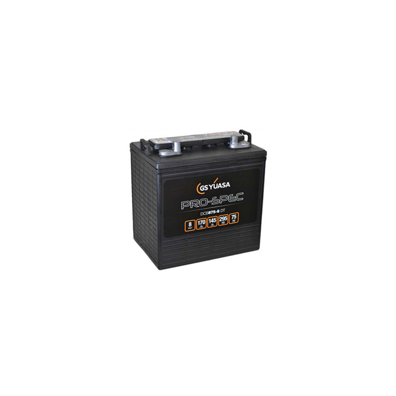 Batterie DCB875-8 - YUASA PRO-SPEC - DEEP CYCLE - Compatible T875 ex CR165 - Golfette - 8V - 170Ah