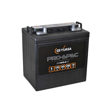 Batterie DCB875-8 - YUASA PRO-SPEC - DEEP CYCLE - Compatible T875 ex CR165 - Golfette - 8V - 170Ah