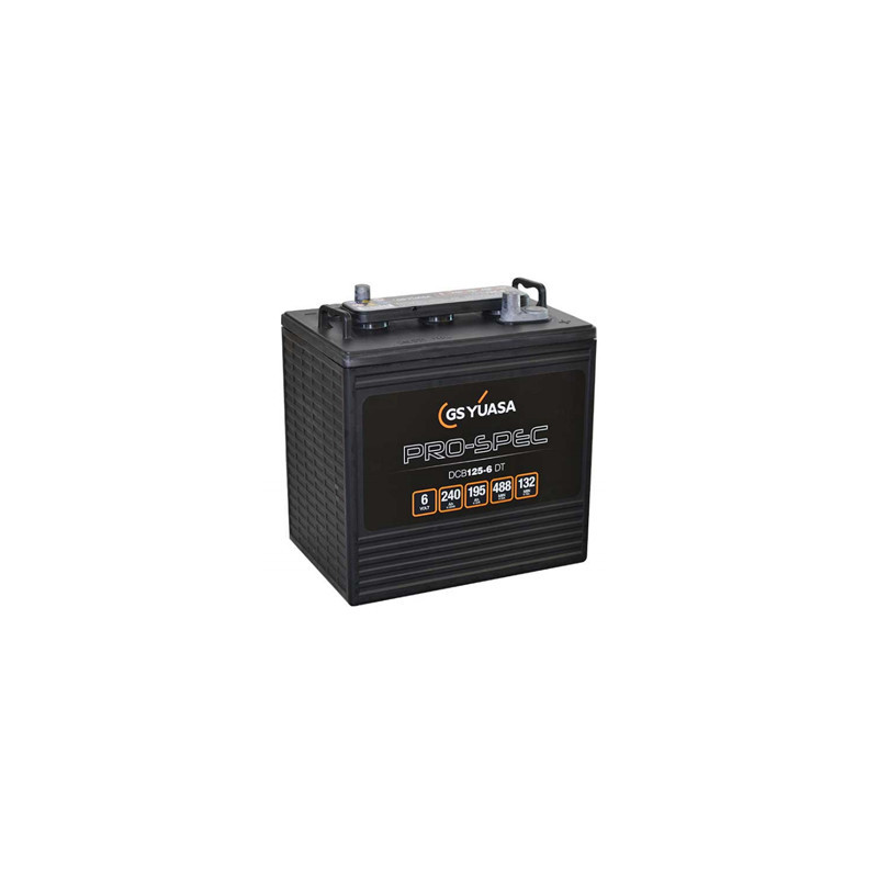 Batterie DCB125-6 - YUASA PRO-SPEC - DEEP CYCLE - Compatible T125 ex CR235 - 6V - 240Ah