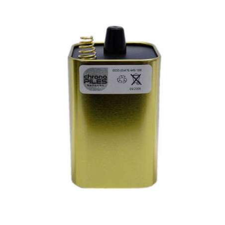 1ER PRIX Pile Alcaline 4LR25 - Ecoli - Ressort Métal