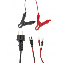 Chargeur Auto/Moto Gys - 12V 6,0Ah - FLASH 6.12 - pour batteries lithium LiFePO4