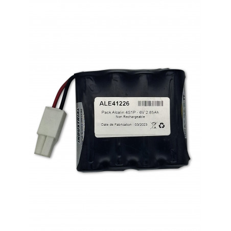 Pack Alcalin 4S1P - 6V + connecteur - pour portes vestiaires
