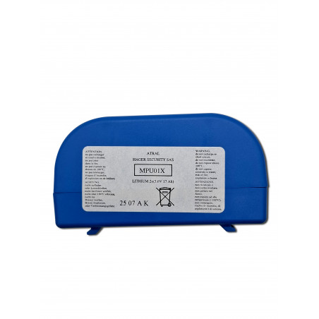 Pile Lithium DAITEM d'origine BATLI23 - 2x 3.6V - 18Ah