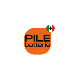 chrono-pack-batterie-nimh-6s1p-72v-120mah-sortie-fils